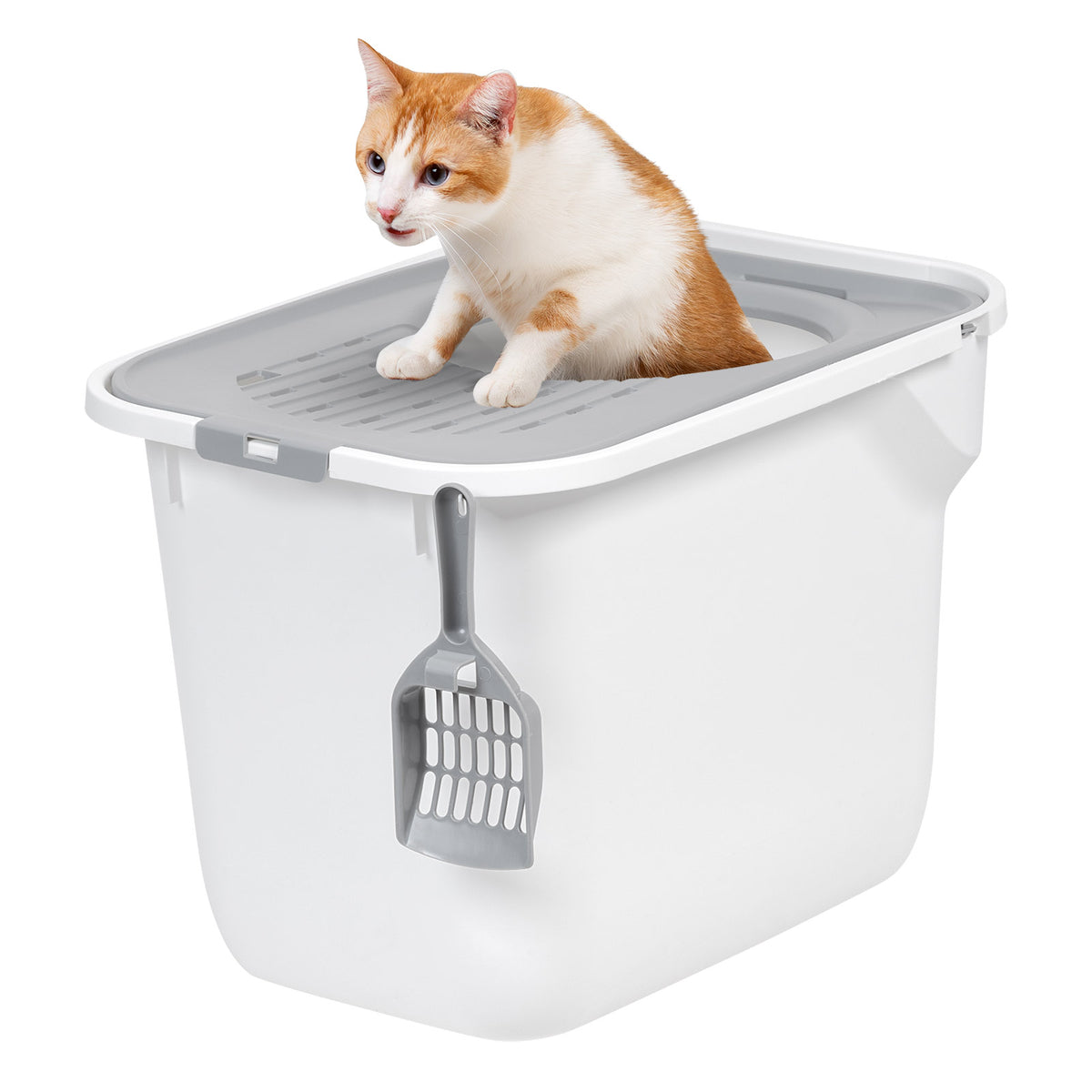 TECL-SQ_White-Gray_Catalog_02_wCatcopy